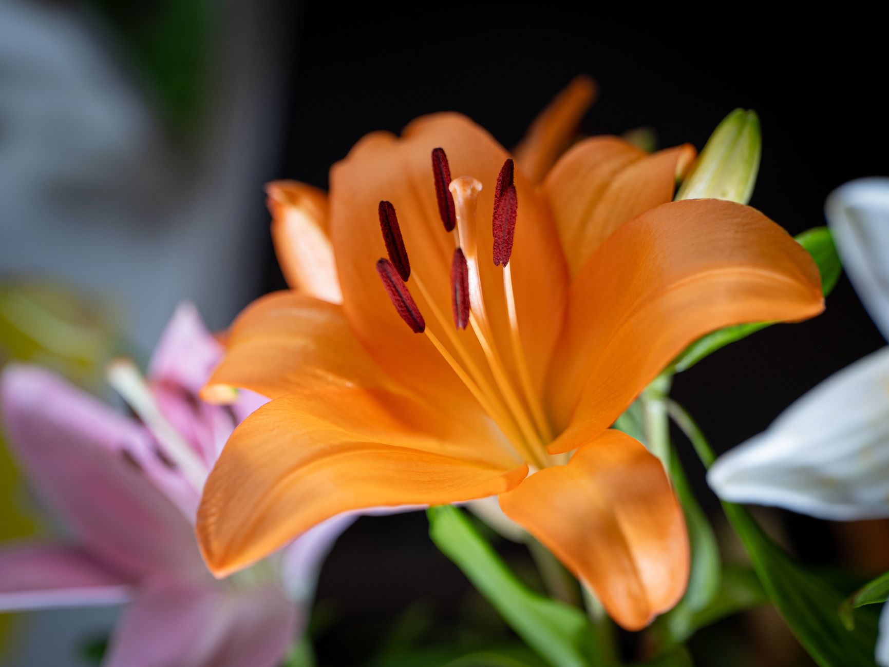 Livraison fleurs à Le Mans